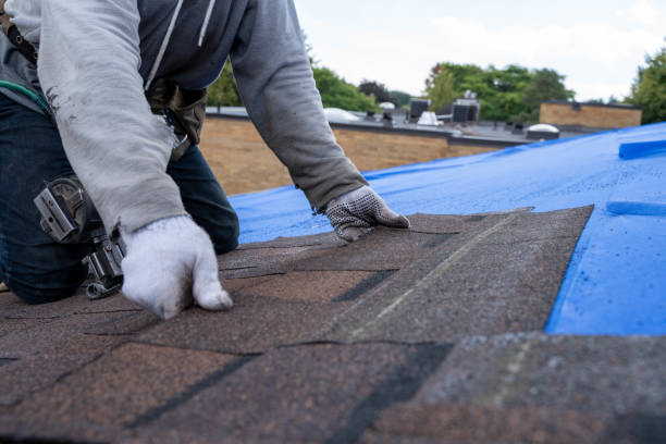 Best Roof Replacement Cost  in Lake Waynoka, OH