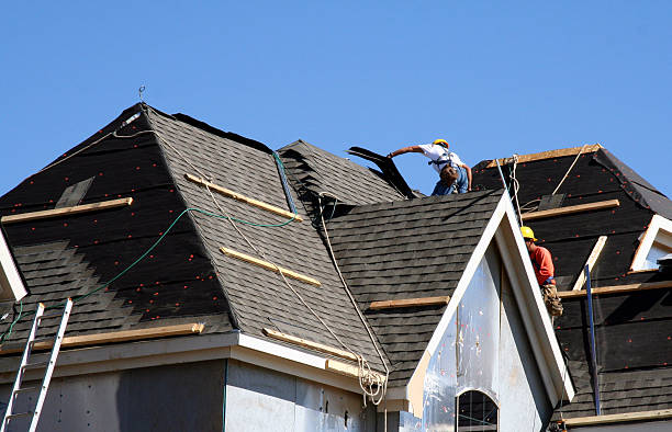 Roof Gutter Cleaning in Lake Waynoka, OH