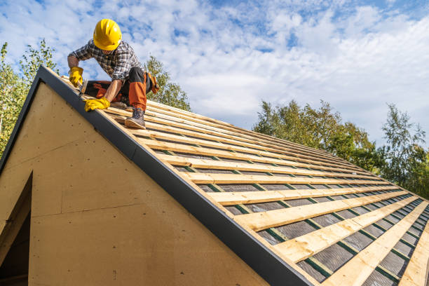 Best Roof Gutter Cleaning  in Lake Waynoka, OH