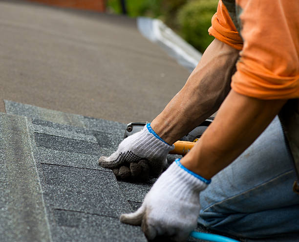Best Storm Damage Roof Repair  in Lake Waynoka, OH
