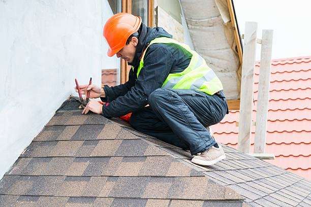 Best Local Roofing Companies  in Lake Waynoka, OH