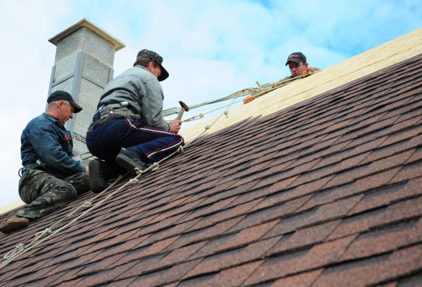 Best Roof Repair Services  in Lake Waynoka, OH