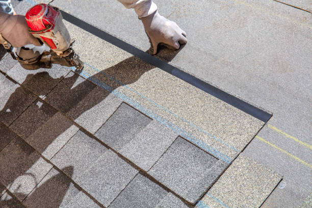 Best Roof Maintenance Services  in Lake Waynoka, OH